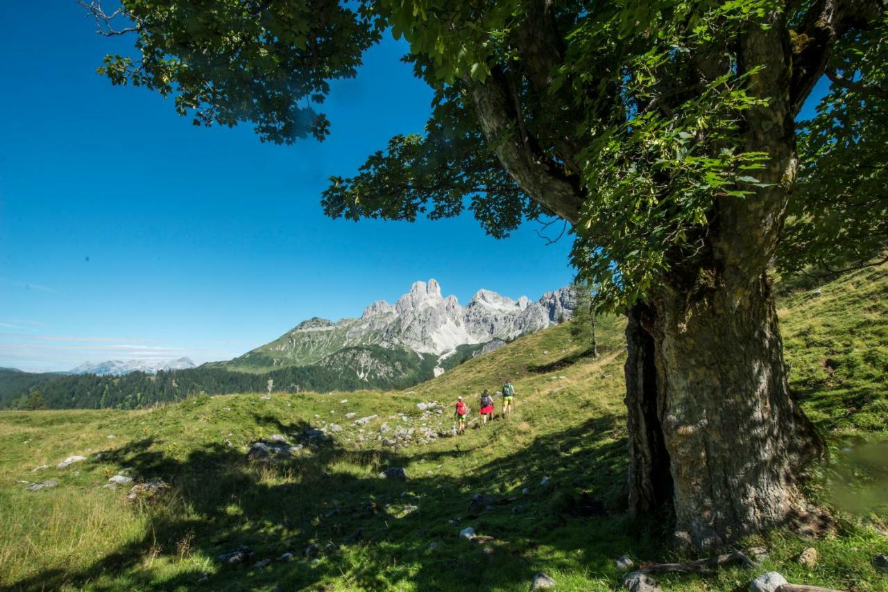 Meizeit Lodge Filzmoos Bagian luar foto