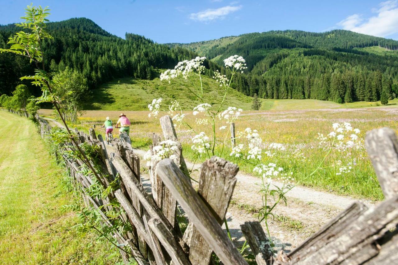 Meizeit Lodge Filzmoos Bagian luar foto